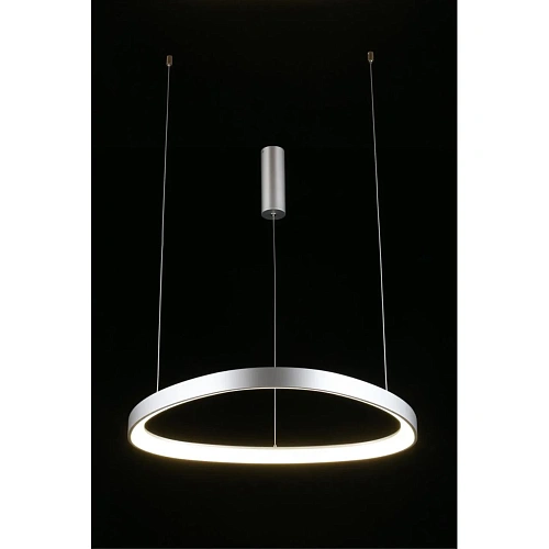 Люстра подвесная Aployt Zula APL.022.13.48 Люстра подвесная Aployt Zula APL.022.13.48