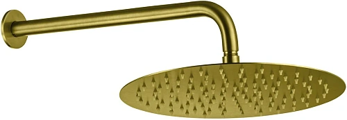 Верхний душ Allen Brau Priority 5.31017-GB золото браш Верхний душ Allen Brau Priority 5.31017-GB золото браш