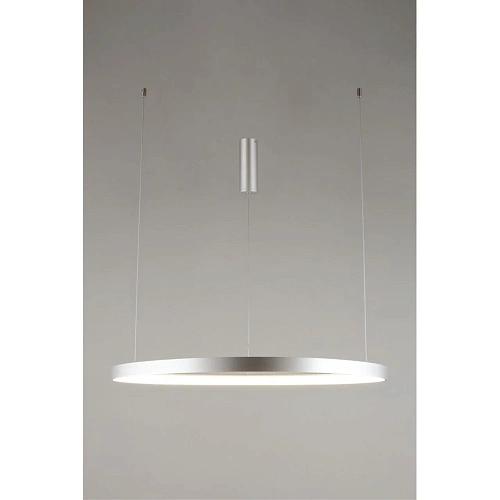 Люстра подвесная Aployt Zula APL.022.13.60 Люстра подвесная Aployt Zula APL.022.13.60