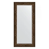 Зеркало в багетной раме Evoform Exclusive BY 3612 82 x 172 см, состаренное дерево с орнаментом