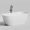 Ванна отдельностоящая Salini SOFIA 170х80 покраска по RAL полностью 102516GF из искусственого камня S-Sense Ванна отдельностоящая Salini SOFIA 170х80 покраска по RAL полностью 102516GF из искусственого камня S-Sense
