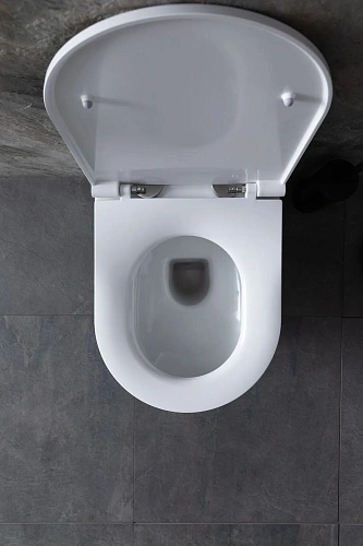 Комплект унитаза Allen Brau Reality 4.32006.20/8.9466.0.000.000.1 (00316510) с инсталляцией, белый глянец Комплект унитаза Allen Brau Reality 4.32006.20/8.9466.0.000.000.1 (00316510) с инсталляцией, белый глянец