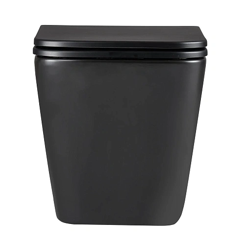 Унитаз подвесной Lemark FLOREX, безободковый с сиденьем микролифт,смыв торнадо, черный матовый 9612002 Унитаз подвесной Lemark FLOREX, безободковый с сиденьем микролифт,смыв торнадо, черный матовый 9612002