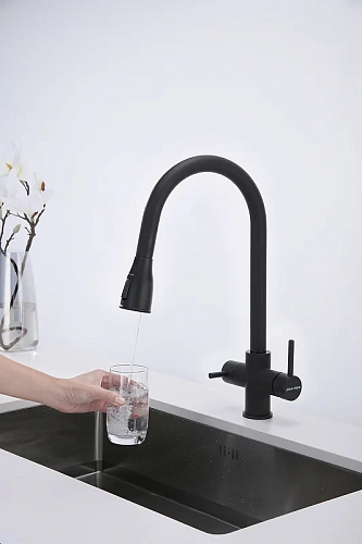 Смеситель для кухни Paulmark LANGE антрацит La214212-AN Смеситель для кухни Paulmark LANGE антрацит La214212-AN