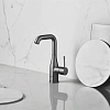 Смеситель для раковины GROHE Essence New с донным клапаном, L-Size, темный графит матовый (32628AL1) Смеситель для раковины GROHE Essence New с донным клапаном, L-Size, темный графит матовый (32628AL1)