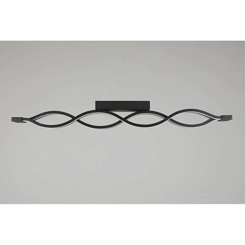 Светильник настенно-потолочный Aployt Nadayn APL.002.17.72 Светильник настенно-потолочный Aployt Nadayn APL.002.17.72