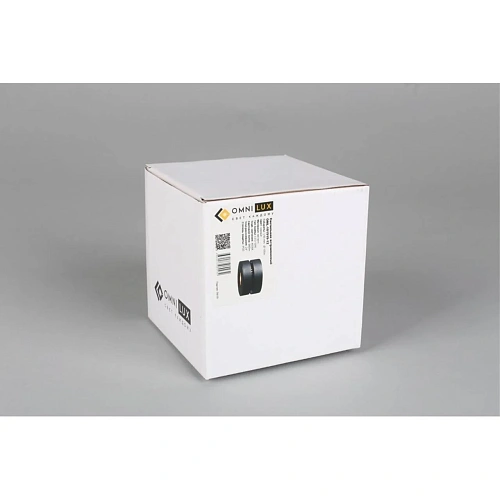 Светильник встраиваемый-накладной Omnilux Borgetto OML-101919-12 Светильник встраиваемый-накладной Omnilux Borgetto OML-101919-12