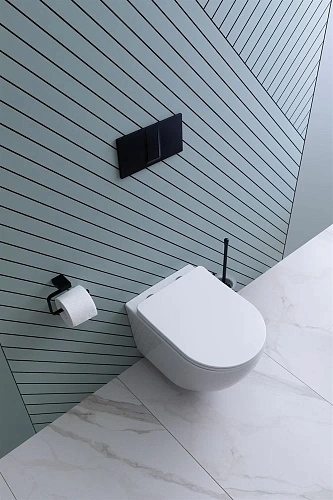 Унитаз подвесной Aquanet Rimless Cetus 2.0 W LX-1901 с сиденьем Унитаз подвесной Aquanet Rimless Cetus 2.0 W LX-1901 с сиденьем