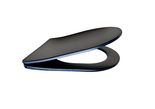 Крышка-сиденье Aquatek ЕВРОПА AQ0004-MB черный матовый Крышка-сиденье Aquatek ЕВРОПА AQ0004-MB черный матовый