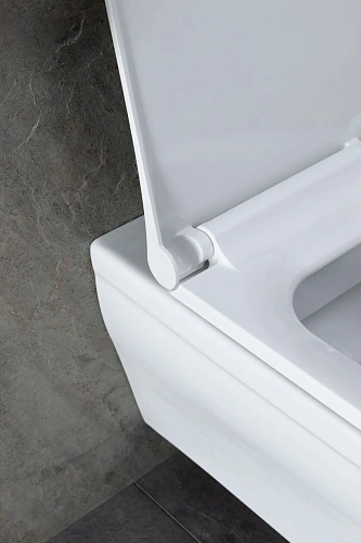 Комплект унитаза Allen Brau Infinity 4.21011.20/8.9466.0.000.000.1 (00316506) с инсталляцией, белый глянец Комплект унитаза Allen Brau Infinity 4.21011.20/8.9466.0.000.000.1 (00316506) с инсталляцией, белый глянец