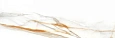 Керамогранит Colorker Calacatta Gold Matt 39.6x119.2 224268 Керамогранит Colorker Calacatta Gold Matt 39.6x119.2 224268