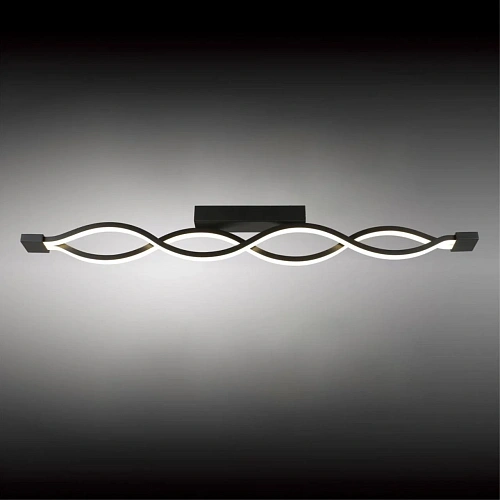 Светильник настенно-потолочный Aployt Nadayn APL.002.12.36 Светильник настенно-потолочный Aployt Nadayn APL.002.12.36