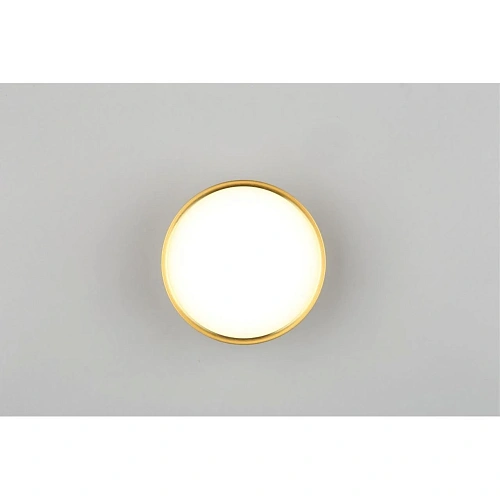 Светильник встраиваемый-накладной Omnilux Abano OML-103329-12 Светильник встраиваемый-накладной Omnilux Abano OML-103329-12