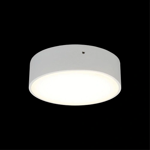 Светильник настенно-потолочный Aployt Evon APL.0113.09.12 Светильник настенно-потолочный Aployt Evon APL.0113.09.12