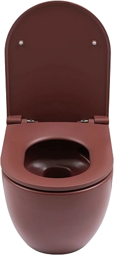 Унитаз подвесной Allen Brau Reality 4.32015.BD сиденье с микролифт бордо Унитаз подвесной Allen Brau Reality 4.32015.BD сиденье с микролифт бордо