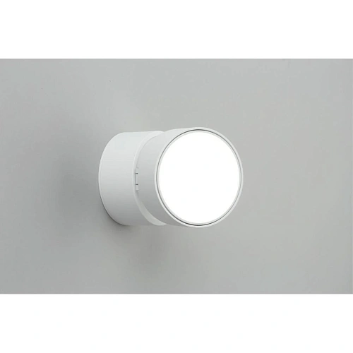 Светильник встраиваемый-накладной Omnilux Lenno OML-101309-12 Светильник встраиваемый-накладной Omnilux Lenno OML-101309-12