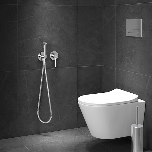 Гигиенический душ Timo Saona 2339/00SM с термостатотом хром Гигиенический душ Timo Saona 2339/00SM с термостатотом хром