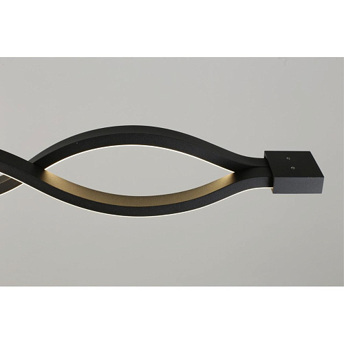 Светильник настенно-потолочный Aployt Nadayn APL.002.12.36 Светильник настенно-потолочный Aployt Nadayn APL.002.12.36