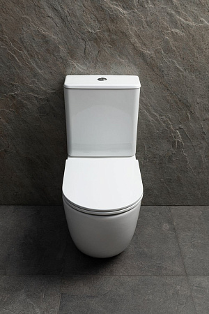 Чаша напольного унитаза Allen Brau Priority Tornado 4.31006.20 с крышкой, белый глянец