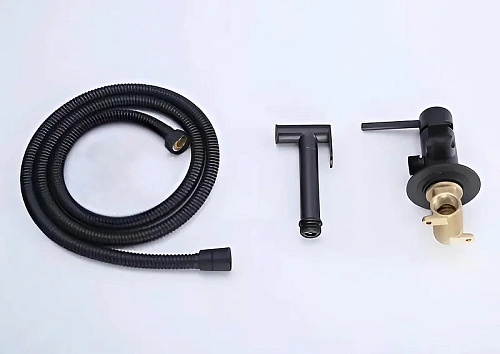 Гигиенический душ BOCH MANN BRAIES BM10409 B CK-P07B из латуни, с шлангом 120 см, черный Гигиенический душ BOCH MANN BRAIES BM10409 B CK-P07B из латуни, с шлангом 120 см, черный