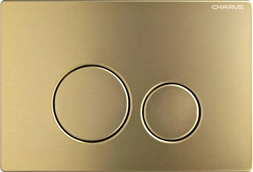 Клавиша смыва CHARUS ROBUSTO FP.330.BTG.05 брашированное золото Клавиша смыва CHARUS ROBUSTO FP.330.BTG.05 брашированное золото