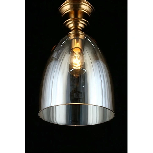 Светильник подвесной Aployt Rena APL.602.06.01 Светильник подвесной Aployt Rena APL.602.06.01