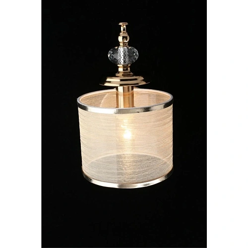 Светильник настенный (Бра) Aployt Agata APL.720.01.01 Светильник настенный (Бра) Aployt Agata APL.720.01.01