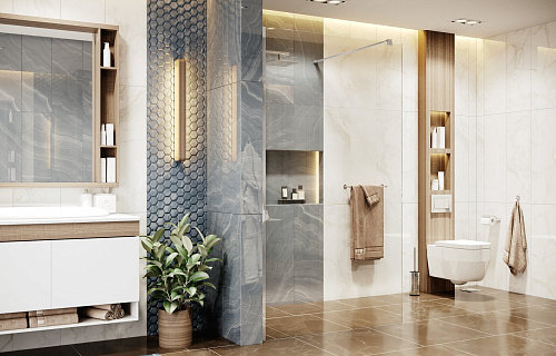 Душевая перегородка Ambassador Walk-in 1 (900x2000) Душевая перегородка Ambassador Walk-in 1 (900x2000)