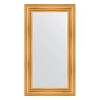 Зеркало в багетной раме Evoform Definite BY 3091 62 x 112 см, травленое золото
