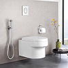 Гигиенический душ GROHE Sena, хром (26329000) Гигиенический душ GROHE Sena, хром (26329000)