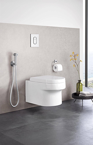 Гигиенический душ GROHE Sena, хром (26329000) Гигиенический душ GROHE Sena, хром (26329000)