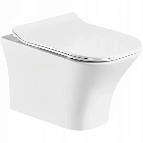 Унитаз подвесной Ceruttispa VETTORE Aria MW CT9242 безободковый белый матовый, сиденье микролифт Унитаз подвесной Ceruttispa VETTORE Aria MW CT9242 безободковый белый матовый, сиденье микролифт