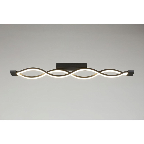 Светильник настенно-потолочный Aployt Nadayn APL.002.12.36 Светильник настенно-потолочный Aployt Nadayn APL.002.12.36