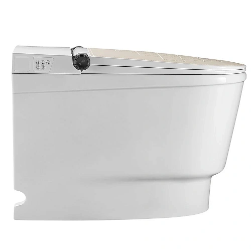 Унитаз напольный Orans Premium 809JD00 Унитаз напольный Orans Premium 809JD00