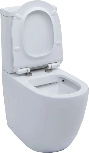 Чаша напольного унитаза Aquanet Rimless Cetus-C1 BL-102N-TPT CETUS-C1 с сиденьем Чаша напольного унитаза Aquanet Rimless Cetus-C1 BL-102N-TPT CETUS-C1 с сиденьем