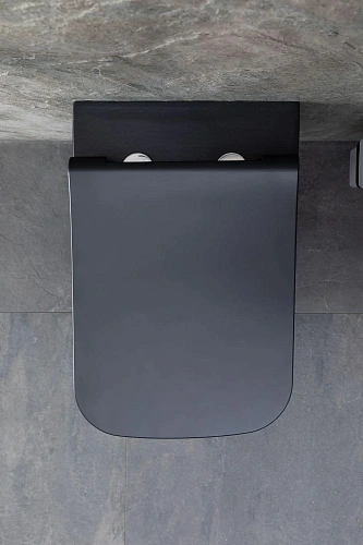 Унитаз подвесной Allen Brau Infinity 4.21011.31 с крышкой, черный матовый Унитаз подвесной Allen Brau Infinity 4.21011.31 с крышкой, черный матовый