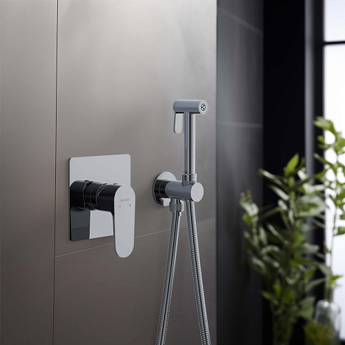 Гигиенический душ Aquatek ОБЕРОН AQ1219CR Хром, встраиваемый Гигиенический душ Aquatek ОБЕРОН AQ1219CR Хром, встраиваемый