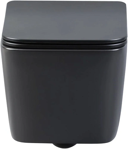 Унитаз подвесной Aquanet Rimless Tavr-W BL-103N-WHT black черный матовый TAVR-W BW с сиденьем Унитаз подвесной Aquanet Rimless Tavr-W BL-103N-WHT black черный матовый TAVR-W BW с сиденьем