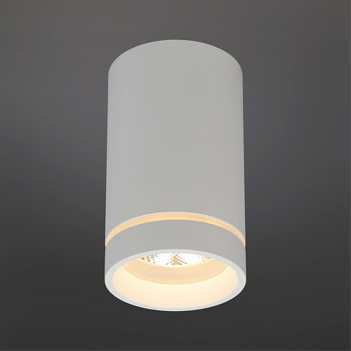 Светильник встраиваемый-накладной Aployt Edda APL.0053.09.10 Светильник встраиваемый-накладной Aployt Edda APL.0053.09.10