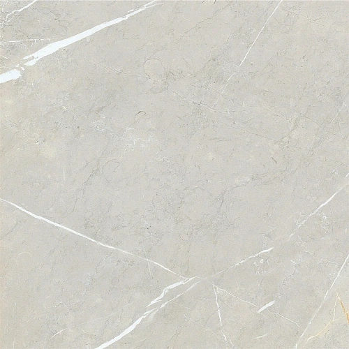 Керамогранит NT Ceramic Bright and Shiny NTT9101 BB6NTT9101P 60x60 Керамогранит NT Ceramic Bright and Shiny NTT9101 BB6NTT9101P 60x60