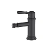 Смеситель для биде Aquatek КЛАССИК AQ1518MB Черный матовый Смеситель для биде Aquatek КЛАССИК AQ1518MB Черный матовый