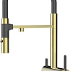 Смеситель для кухни Paulmark Gravity золото Gr213888-G Смеситель для кухни Paulmark Gravity золото Gr213888-G
