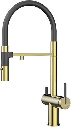 Смеситель для кухни Paulmark Gravity золото Gr213888-G Смеситель для кухни Paulmark Gravity золото Gr213888-G