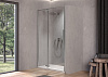 Душевая дверь Kolpa-San POLARIS N 100 R профиль серебро, стекло прозрачное 515900