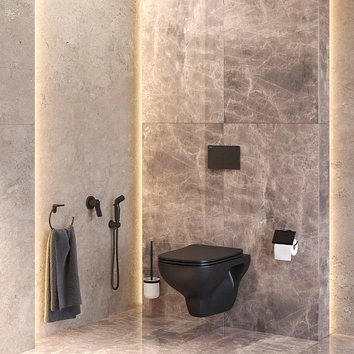 Унитаз подвесной AM.PM X-Joy CK85GI с сиденьем в комплекте с аксессуарами Унитаз подвесной AM.PM X-Joy CK85GI с сиденьем в комплекте с аксессуарами