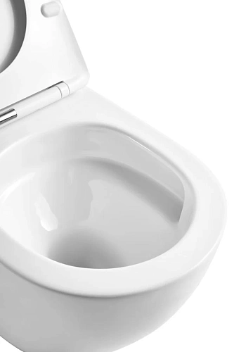 Унитаз подвесной Taliente Amato Tornado 3 AM55003 белый, с крышкой микролифт Унитаз подвесной Taliente Amato Tornado 3 AM55003 белый, с крышкой микролифт