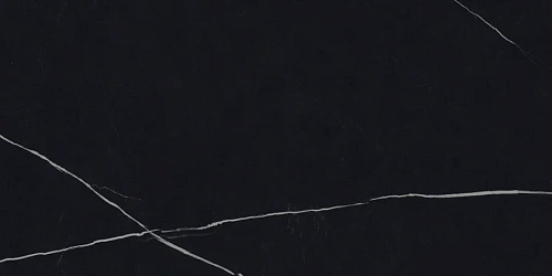 Керамогранит Neodom Belvedere Nero Marquina 60x120 CV20315 Керамогранит Neodom Belvedere Nero Marquina 60x120 CV20315