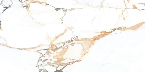 Керамогранит NT Ceramic Marmo NTT99605M 60x120 Керамогранит NT Ceramic Marmo NTT99605M 60x120