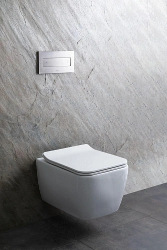 Унитаз подвесной Allen Brau Liberty 4.33007.20 с крышкой, белый Унитаз подвесной Allen Brau Liberty 4.33007.20 с крышкой, белый