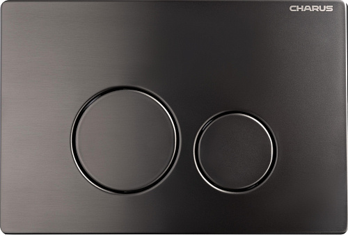 Клавиша смыва CHARUS ROBUSTO FP.330.GNM.05 оружейная сталь Клавиша смыва CHARUS ROBUSTO FP.330.GNM.05 оружейная сталь